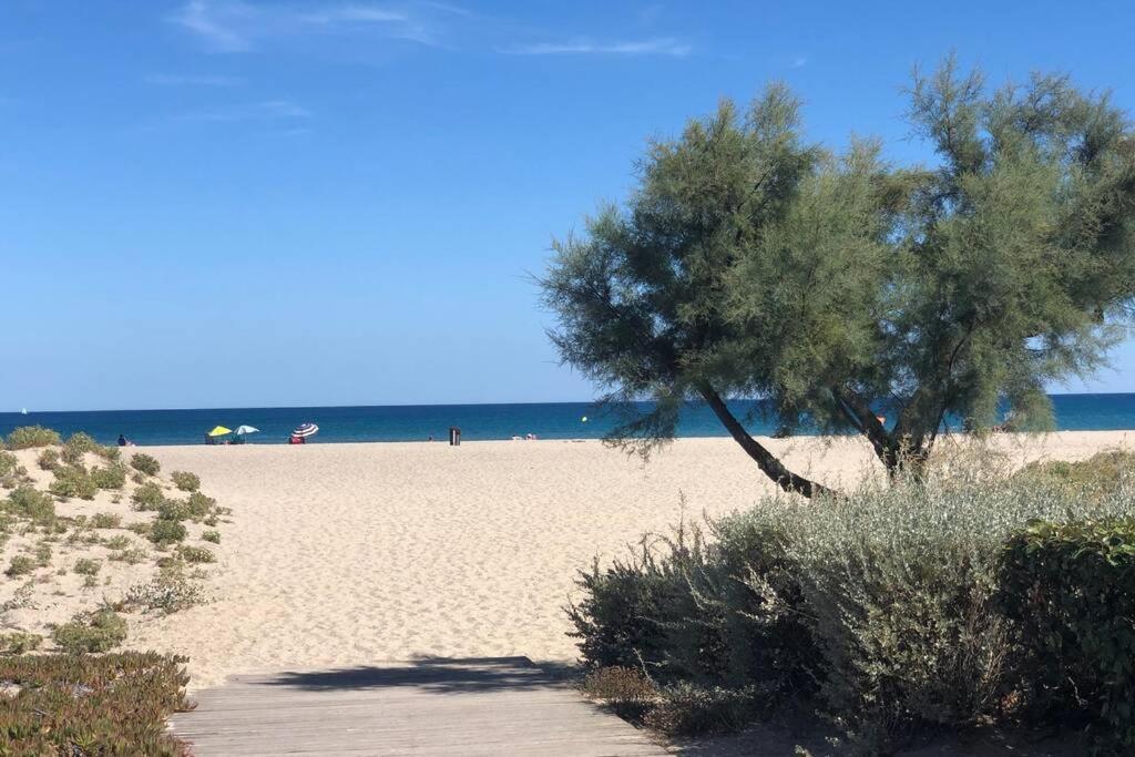 Barcaresa-La Perle Vue Mer Pieds Dans L'Eau Clim Wifi Leucate Kültér fotó